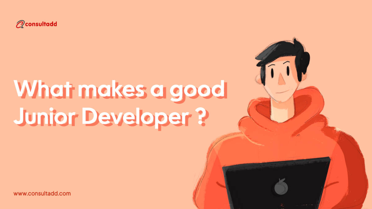 Junior Software Developer Job